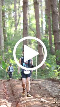 BIB:  <button type="button" onclick="openModal(26569779)" class="btn btn-primary btn-sm float-right" data-toggle="modal" data-target=".modal-high-quality">
                <i class="fa fa-download"></i> Download
                </button>